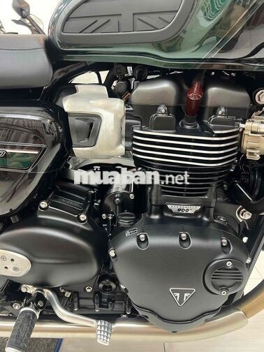 SPEED TWIN 900 2024 MÀU ĐẶC BIỆT COMPETITION GREEN