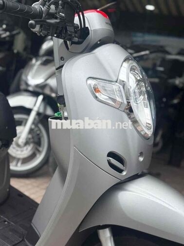 Honda Scoopy 2019 Thái Lan Xám