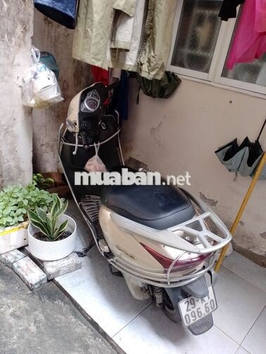 Honda Lead Việt Nam màu Vàng kem