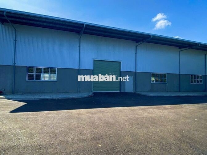 Bán nhà xưởng KCN Hòa Bình Thủ Thừa 8.500m², xưởng 5.900m², giá 52 tỷ