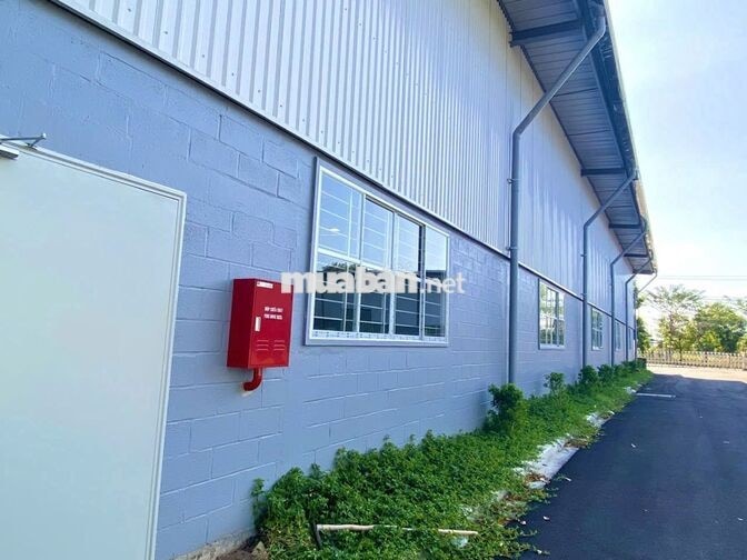 Bán nhà xưởng KCN Hòa Bình Thủ Thừa 8.500m², xưởng 5.900m², giá 52 tỷ