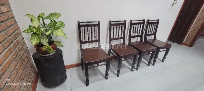 Bán 04 ghế gỗ Gõ (gỗ gụ), Phong cách xưa
