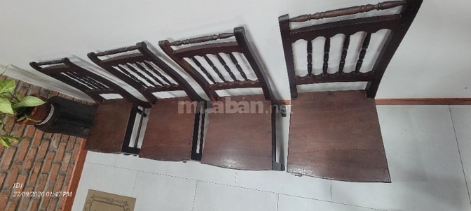 Bán 04 ghế gỗ Gõ (gỗ gụ), Phong cách xưa
