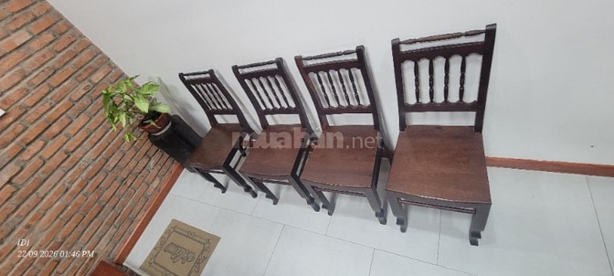 Bán 04 ghế gỗ Gõ (gỗ gụ), Phong cách xưa