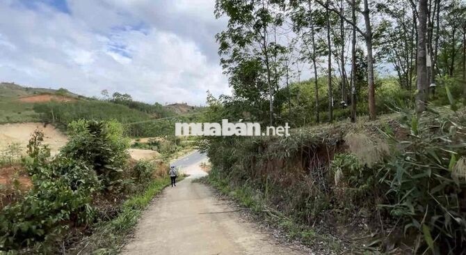 BÁN 2HA MẶT TIỀN QUỐC LỘ 24 – CÁCH MĂNG ĐEN CHƯA TỚI 10KM