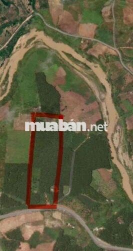 BÁN 2HA MẶT TIỀN QUỐC LỘ 24 – CÁCH MĂNG ĐEN CHƯA TỚI 10KM