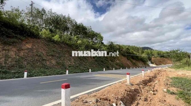 BÁN 2HA MẶT TIỀN QUỐC LỘ 24 – CÁCH MĂNG ĐEN CHƯA TỚI 10KM