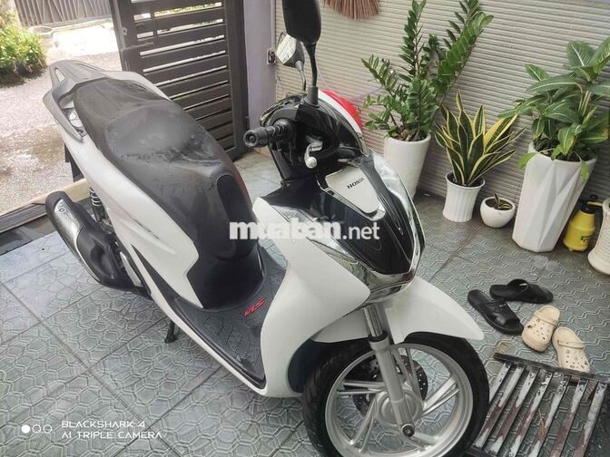 Sh 125i ABS 2024 bản đặc biệt trắng đen zin biểnTp