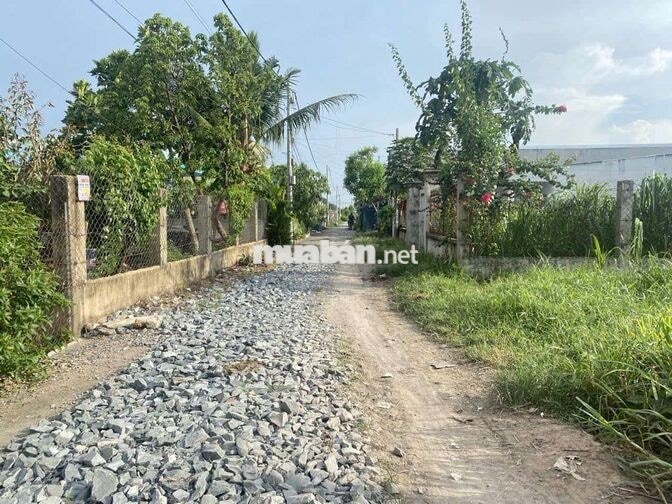 1/ Nguyễn Thị Dưỡng (lô Gốc) giá Ngân Hàng