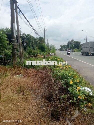🔥 BÁN ĐẤT MẶT TIỀN TỈNH LỘ 766 – XUÂN THÀNH, XUÂN LỘC, ĐỒNG NAI 2,1TỈ