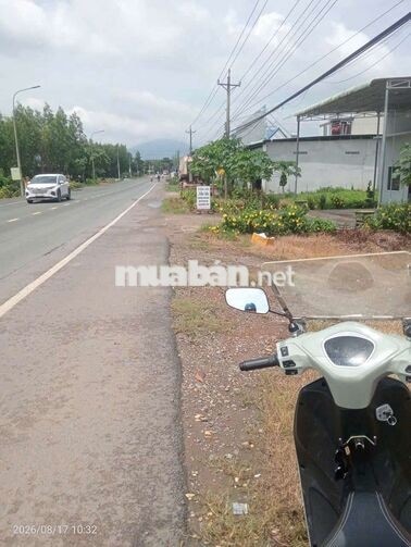 🔥 BÁN ĐẤT MẶT TIỀN TỈNH LỘ 766 – XUÂN THÀNH, XUÂN LỘC, ĐỒNG NAI 2,1TỈ