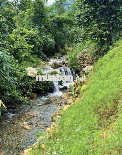 Bán đất sào Long Khánh - Đồng Nai