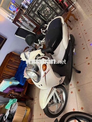 Xe tay ga Yamaha Trắng classico