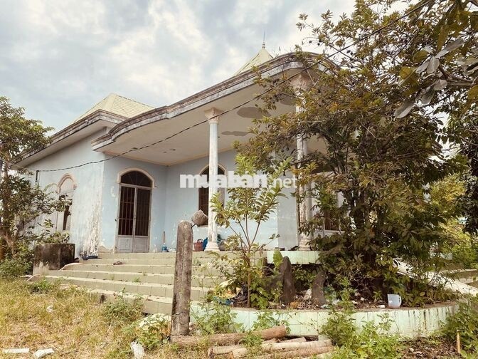 651 THÔNG LẬP ĐỨC XÃ HÀM THUẬN NAM TỈNH LÂM ĐỒNG