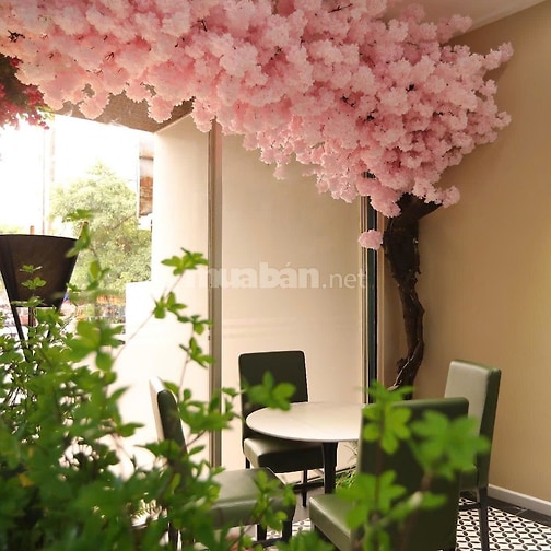  Bán tòa nhà Nguyễn Thái Bình, Phường Tân Sơn Nhất, doanh thu 400 tr