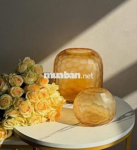 CHO THUÊ NHÀ DƯƠNG VĂN DƯƠNG 4 x 13 M đúc lửng . 2 PN HẺM 6 M 