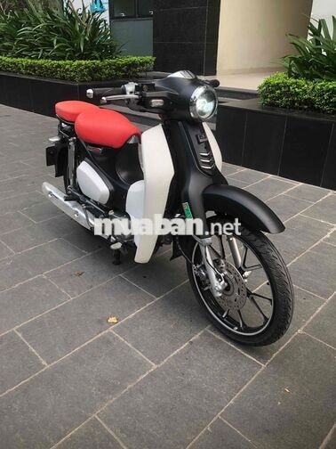Xe cúp 50cc đk 2024