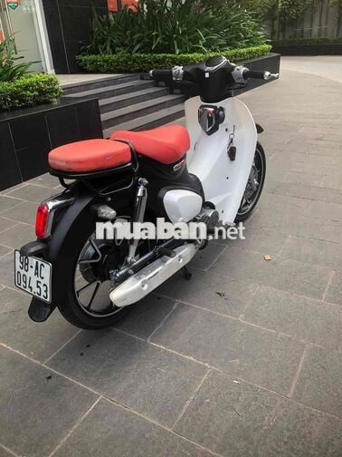 Xe cúp 50cc đk 2024