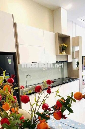 225 ✨ 🏡 CHO THUÊ NHÀ 3 TẦNG MẶT TIỀN HOÀNG TÍCH TRÍ