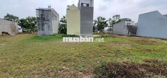 Chính chủ bán nền biệt thự giá bằng căn nhà phố
