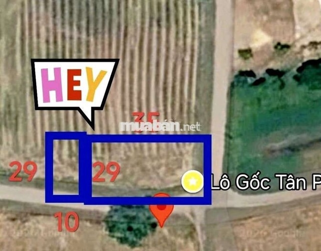 Đất Xã Tân Phú, Đúc Hòa, Long An giá tốt