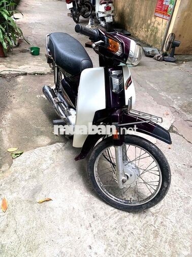 Honda Dream 2009 Tím Trắng