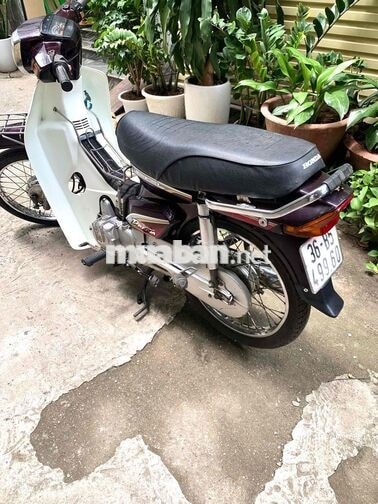 Honda Dream 2009 Tím Trắng