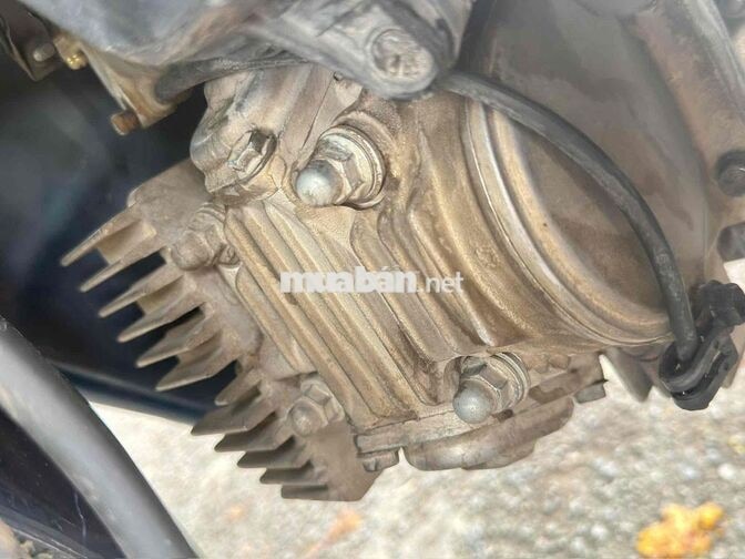 Suzuki Viva Xanh Xe số