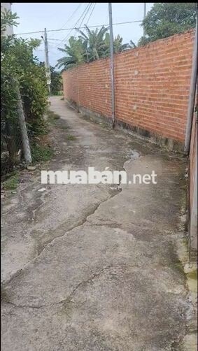 Bán Nhà cấp 4 giá rẻ 1ty2 đường bê tông uyên hưng tân uyên bình dương