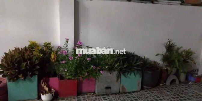 🏡 12TR (TL) - 6x21M – HẺM XE TẢI – NGUYỄN QUÝ YÊN, AN LẠC, BÌNH TÂN🏡
