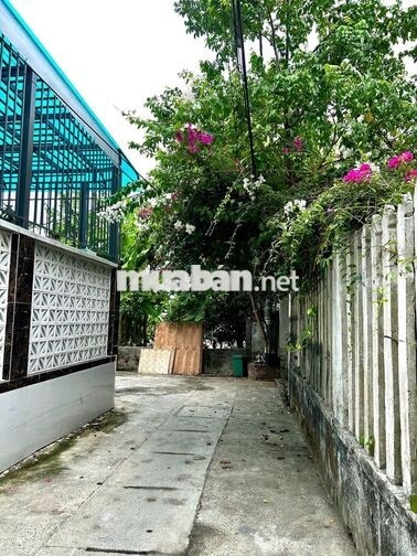 [ CỰC GẤP ] 🔥 BÁN ĐẤT KIỆT Ô TÔ ÂU CƠ, Q.LIÊN CHIỂU GIÁ CỰC TỐT 115m2