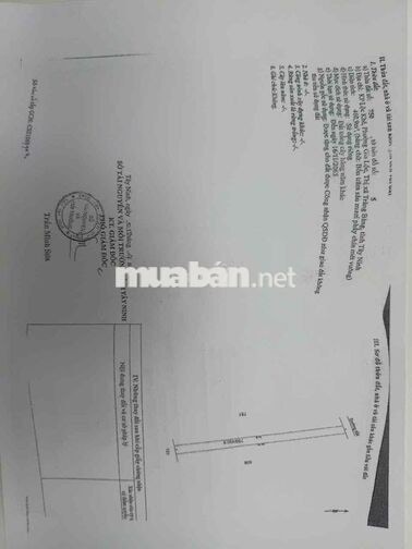 CHÍNH CHỦ BÁN ĐẤT - NGANG 10M - DÀI 120M - Ô TÔ VÀO ĐƯỢC