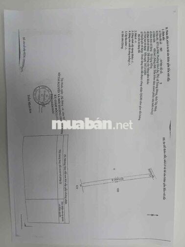 CHÍNH CHỦ BÁN ĐẤT - NGANG 10M - DÀI 120M - Ô TÔ VÀO ĐƯỢC
