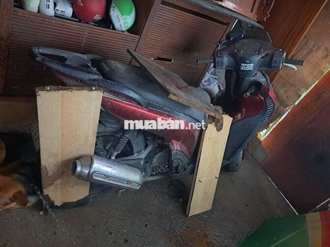 Honda sh 2004 màu Đỏ