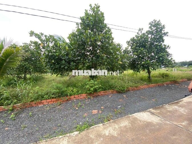Chủ Cần Tiền Sang Lại miếng Đất P Chơn Thành TP Đồng Nai 350tr