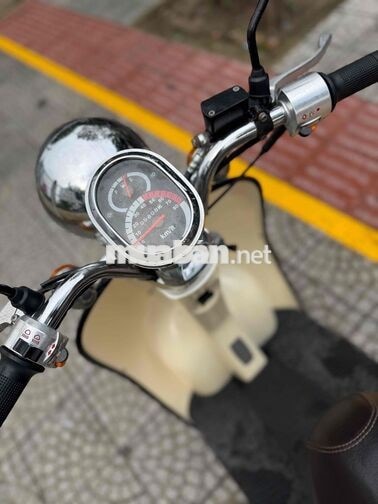 Crea 50cc biển 43 ❤️