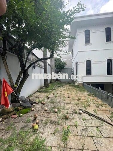 CHO THUÊ BIỆT THỰ 1073/6 CMT8, QTB – 16X16M, CÓ HẦM, GIÁ 75TR