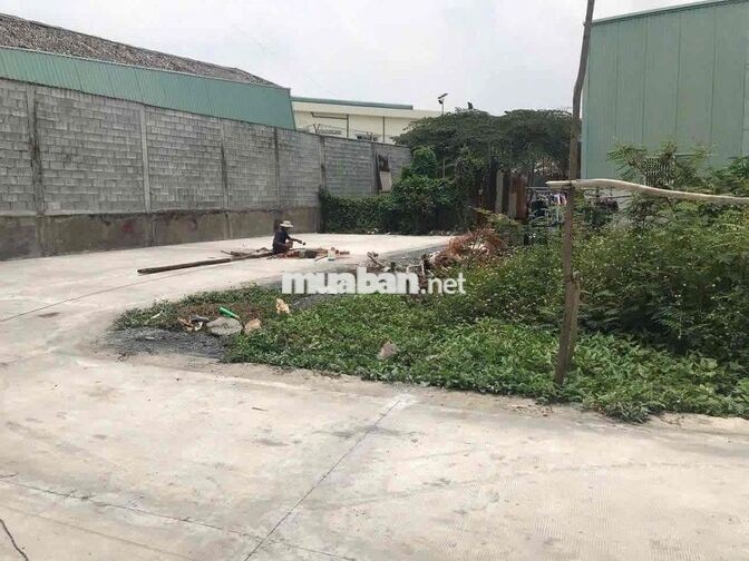 ngân hàng thanh lý lô đất thổ cư tách 8 lô