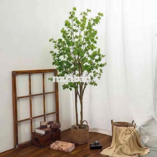 PHÒNG CỬA SỔ TRỜI – GÒ VẤP còn *** 1 phòng