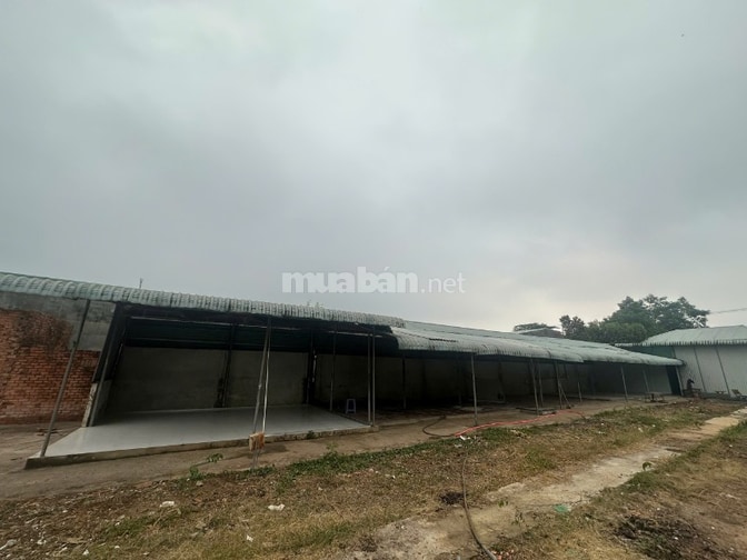 Cho thuê nhà kho TDT:1000m2,kho 280m2 nhà kho Tiến Thành,TP.Đồng Xoài,