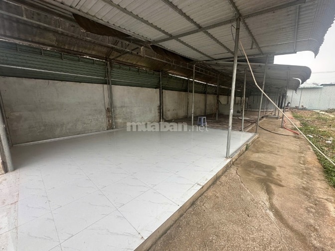 Cho thuê nhà kho TDT:1000m2,kho 280m2 nhà kho Tiến Thành,TP.Đồng Xoài,
