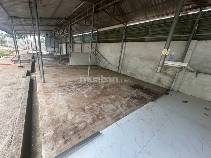 Cho thuê nhà kho TDT:1000m2,kho 280m2 nhà kho Tiến Thành,TP.Đồng Xoài,
