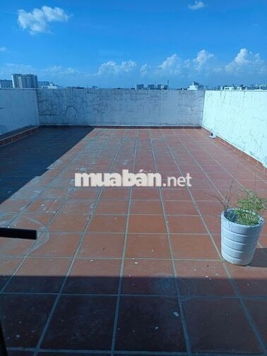 📢 CHO THUÊ TÒA NHÀ VĂN PHÒNG MẶT TIỀN GÒ VẤP