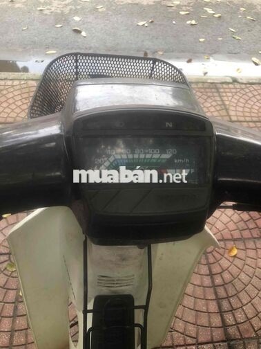 Honda Dream Trắng, Đen