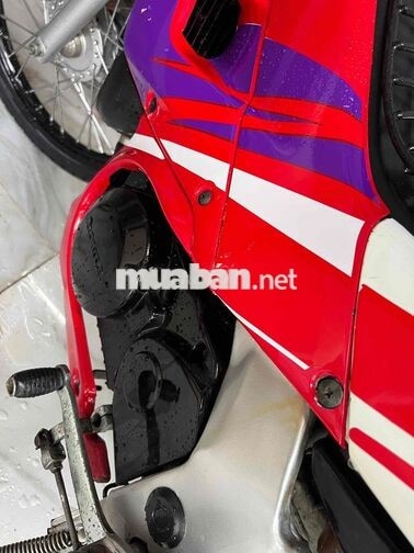 Honda Nova SP1 125cc Đỏ, Trắng, Tím, Xanh