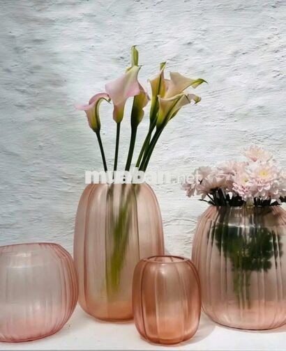 CHO THUÊ NHÀ KHU GÒ DẦU - Dương VĂN DƯƠNG 4 x 16 M ĐÚC 3 LẨU : 4 Pn 
