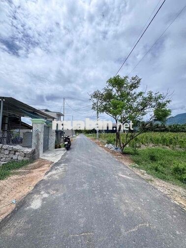 Bán Đất Vườn 492m2 Full Thổ Cư Suối Tiên - Khánh Hoà. Oto tận nơi