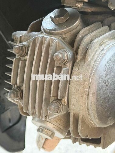 Honda Wave ZX Trắng, Đen, Tím