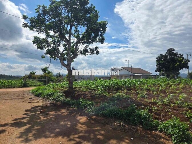 ĐẤT VIEW NGHĨ DƯỠNG 360 ĐỘ VEN ĐÀ LẠT