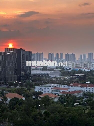 🔥 CĂN HỘ SUNSHINE SKY CITY – 2PN2WC TẦNG CAO | VIEW PHÁO HOA